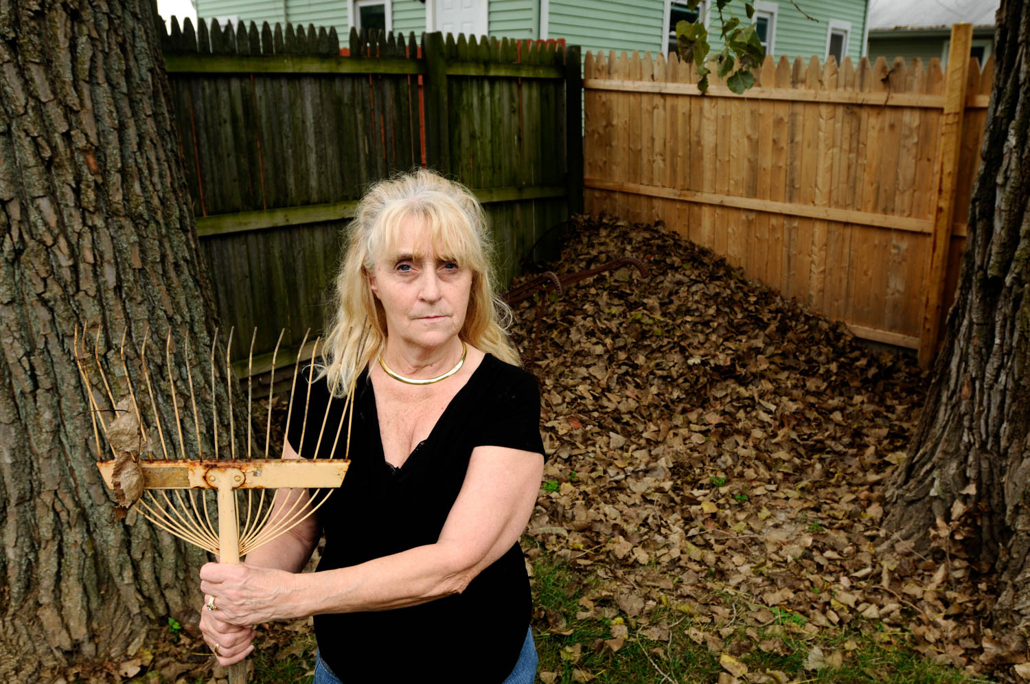 Nancy Schaeffer of Moline isn't about to clean up the mess that her neighbors made in her backyard on Friday September 18, 2009. Ms. Schaeffer watched in disbelief as her neighbors dumped numerous garbage cans full of leaves over her fence and into her yard. Ms. Schaeffer and her husband George Schaeffer, 1157 49th Street, have filed a police complaint. They have also asked the City of Moline for help dealing with the situation because they feel the neighbor's action was precipitated by Moline's new leaf burning ban. 